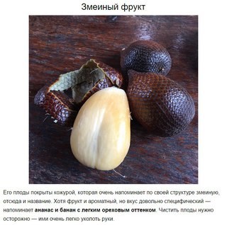 Новость Дантист, ООО, стоматологический центр